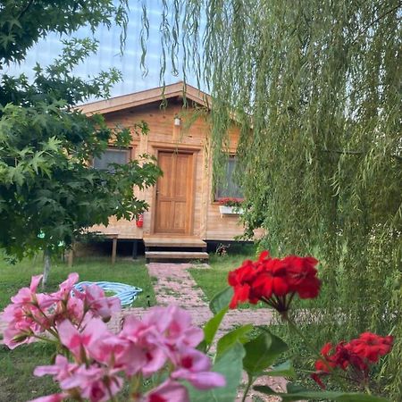 Inlice Uenzile Bungalow Inlice Kamp Fethiye Kültér fotó