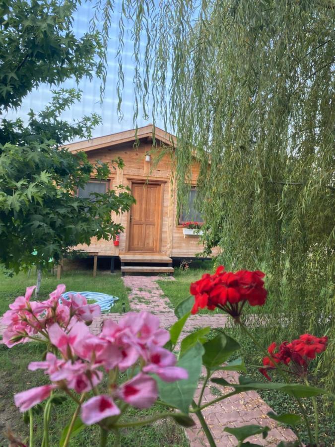 Inlice Uenzile Bungalow Inlice Kamp Fethiye Kültér fotó