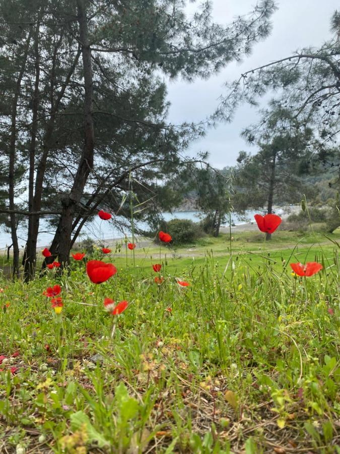 Inlice Uenzile Bungalow Inlice Kamp Fethiye Kültér fotó