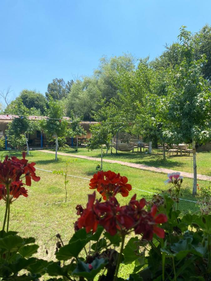 Inlice Uenzile Bungalow Inlice Kamp Fethiye Kültér fotó