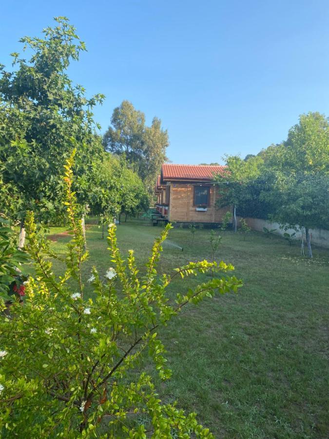 Inlice Uenzile Bungalow Inlice Kamp Fethiye Kültér fotó