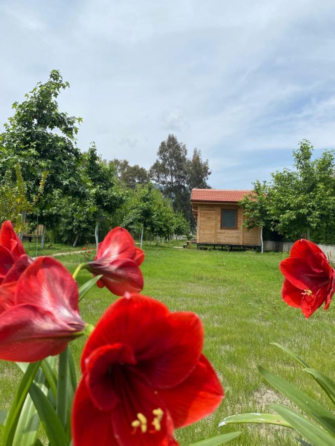 Inlice Uenzile Bungalow Inlice Kamp Fethiye Kültér fotó