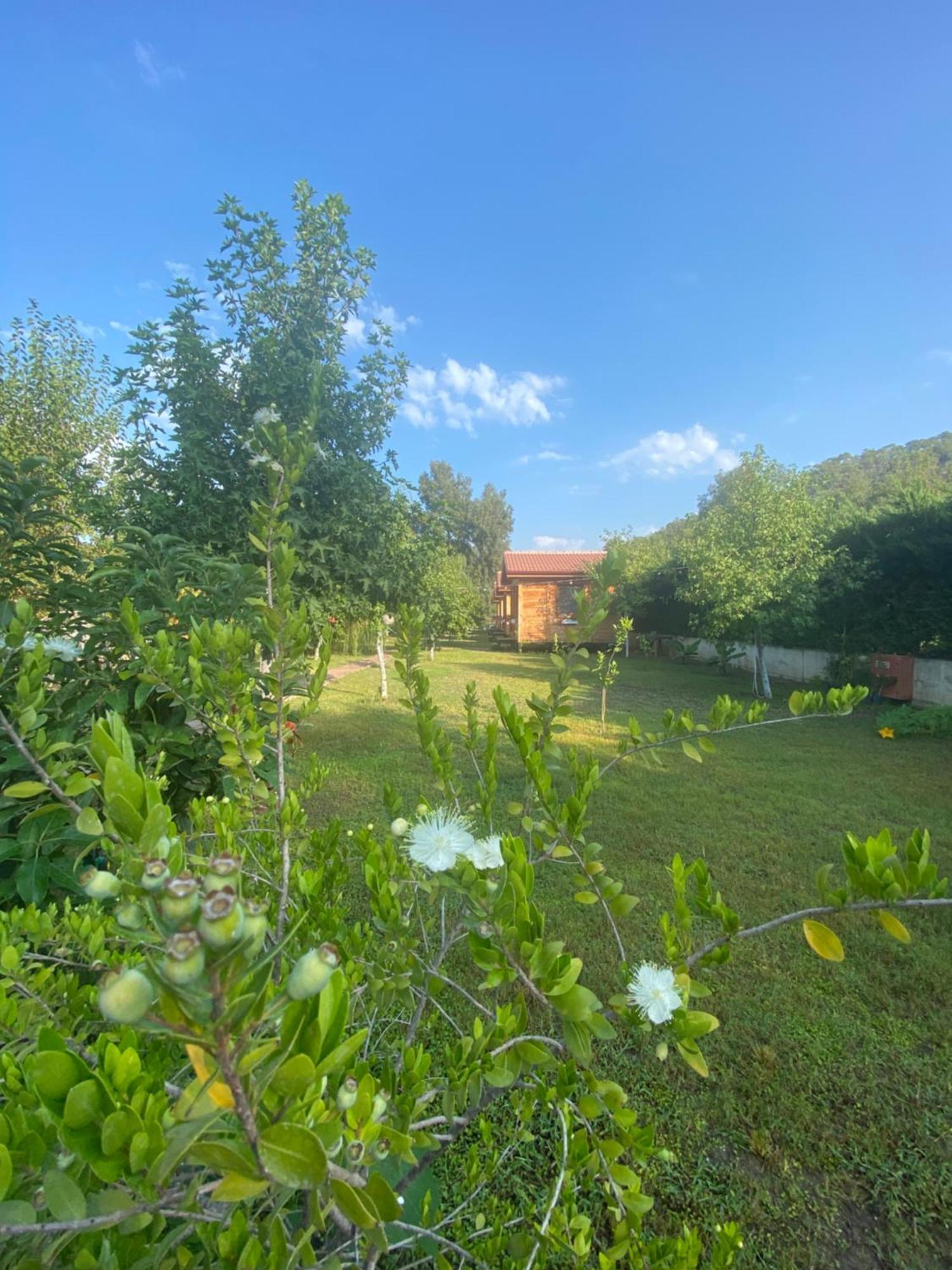 Inlice Uenzile Bungalow Inlice Kamp Fethiye Kültér fotó